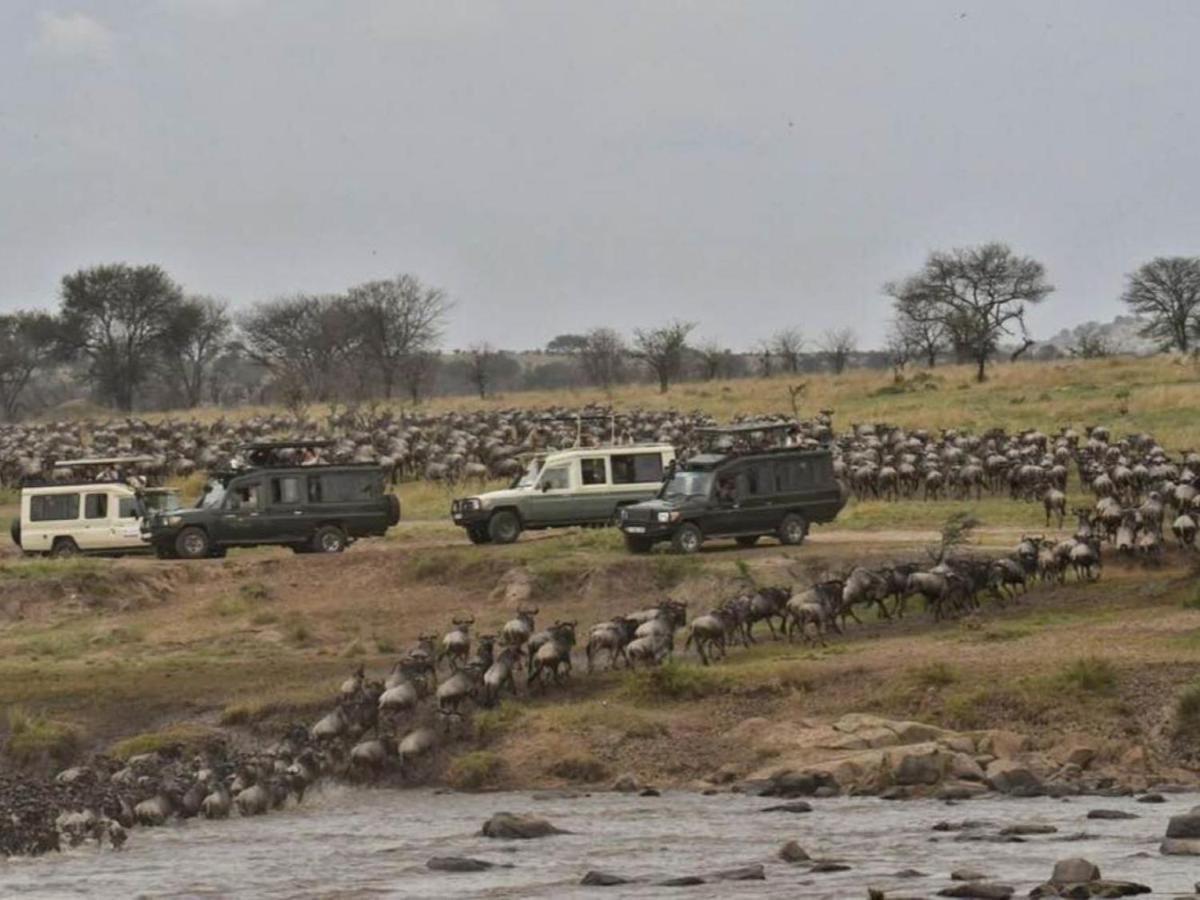 Serengeti Kifaru Tented Lodge Mugumu Ngoại thất bức ảnh