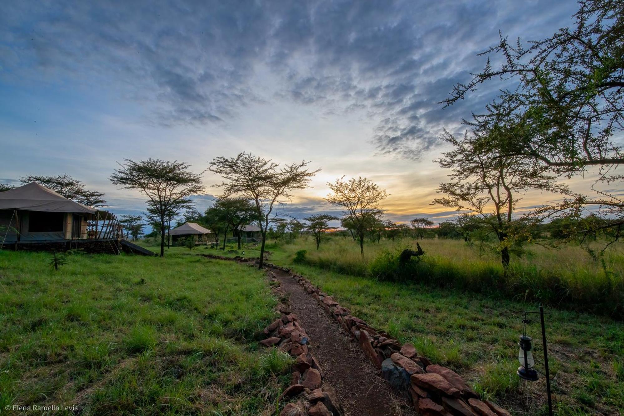 Serengeti Kifaru Tented Lodge Mugumu Ngoại thất bức ảnh