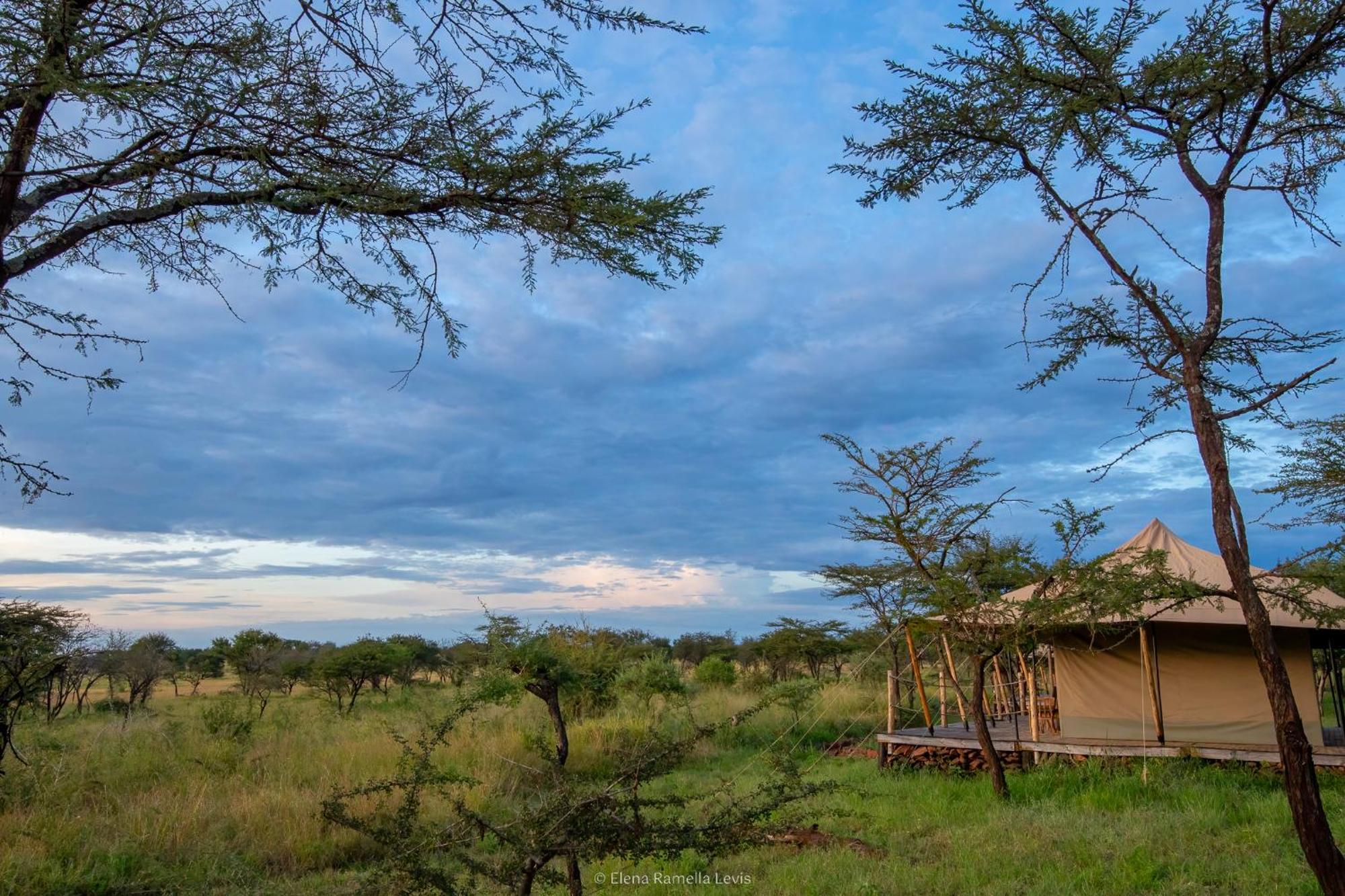 Serengeti Kifaru Tented Lodge Mugumu Ngoại thất bức ảnh