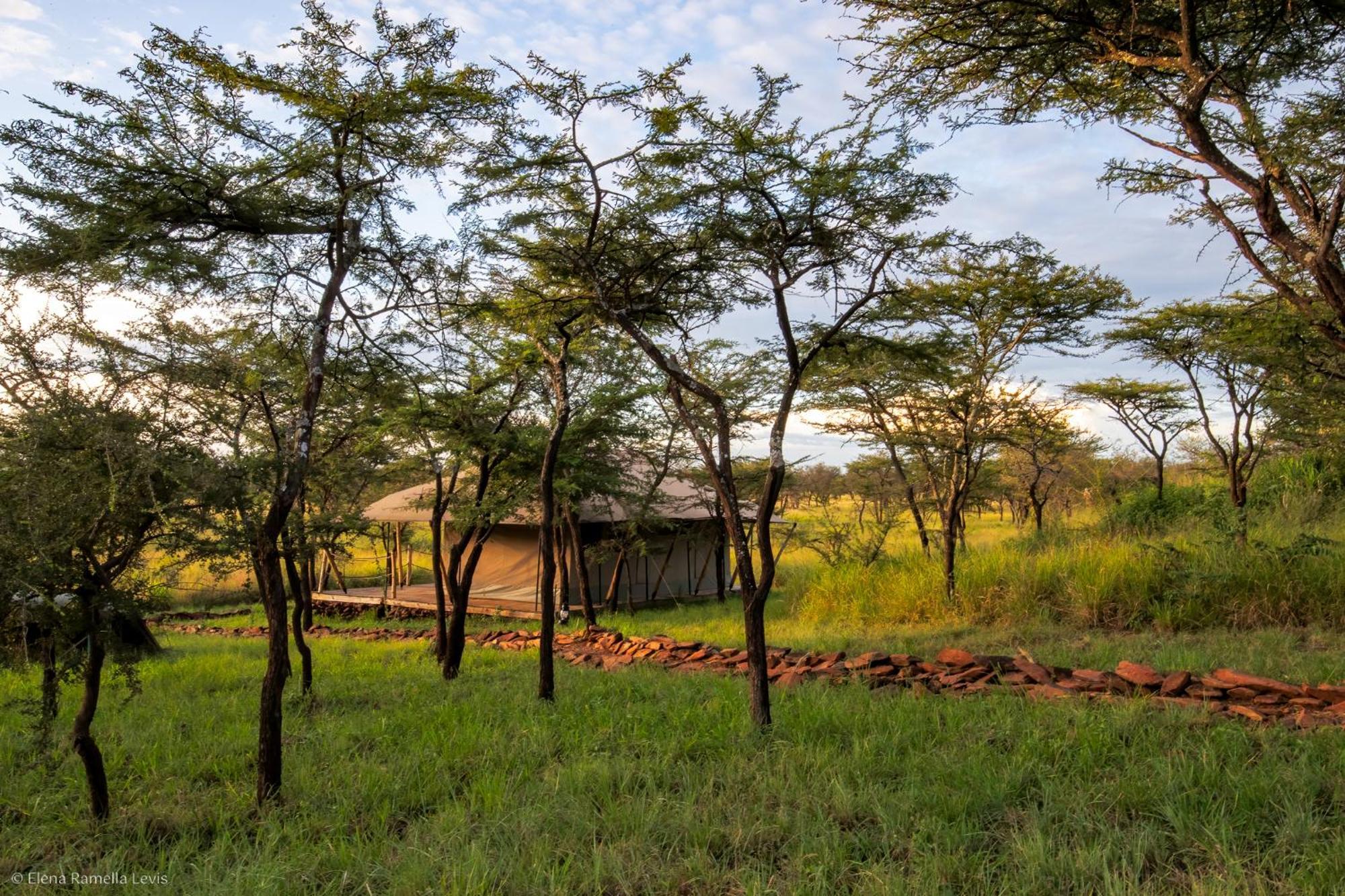 Serengeti Kifaru Tented Lodge Mugumu Ngoại thất bức ảnh