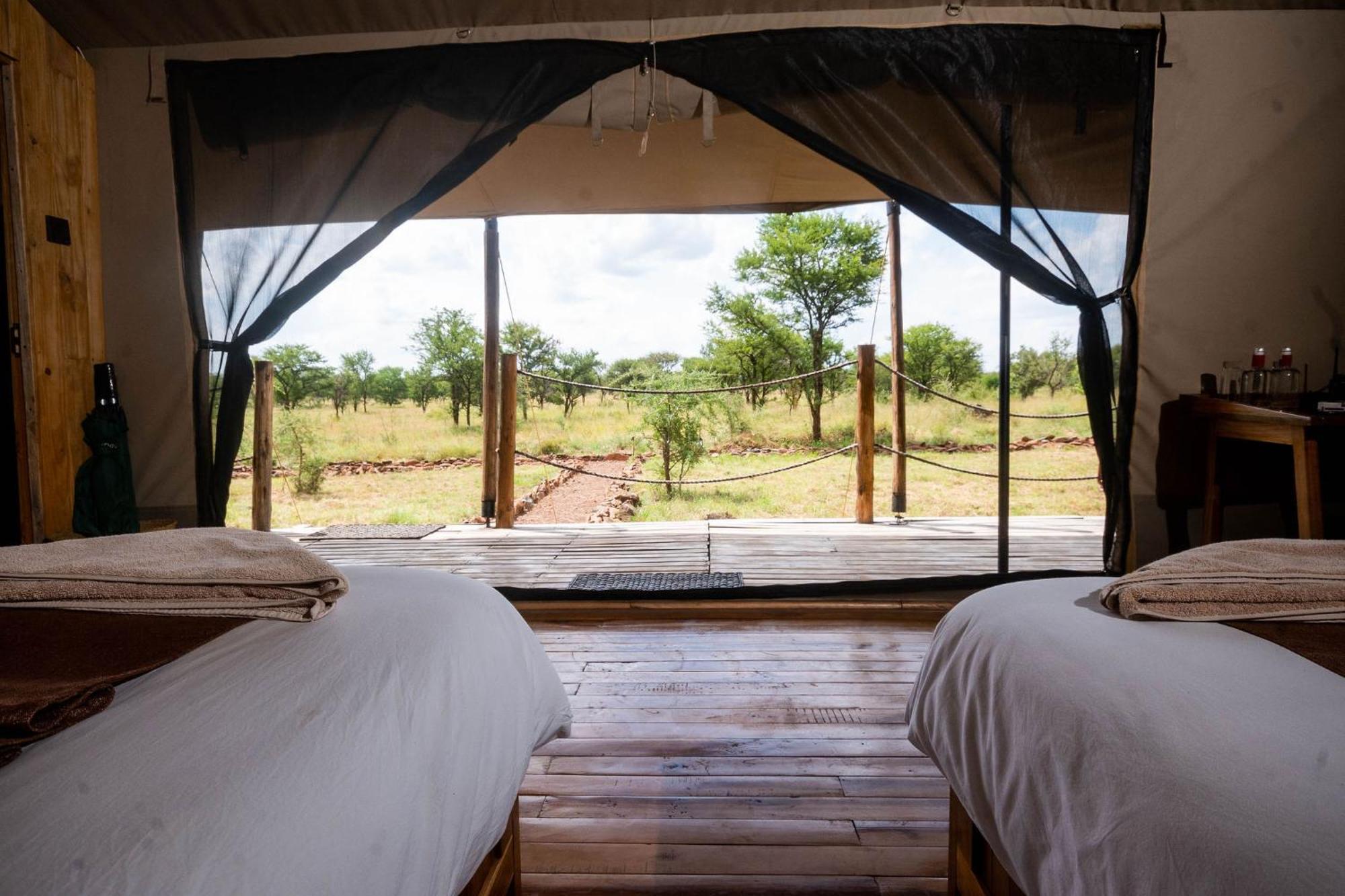Serengeti Kifaru Tented Lodge Mugumu Ngoại thất bức ảnh